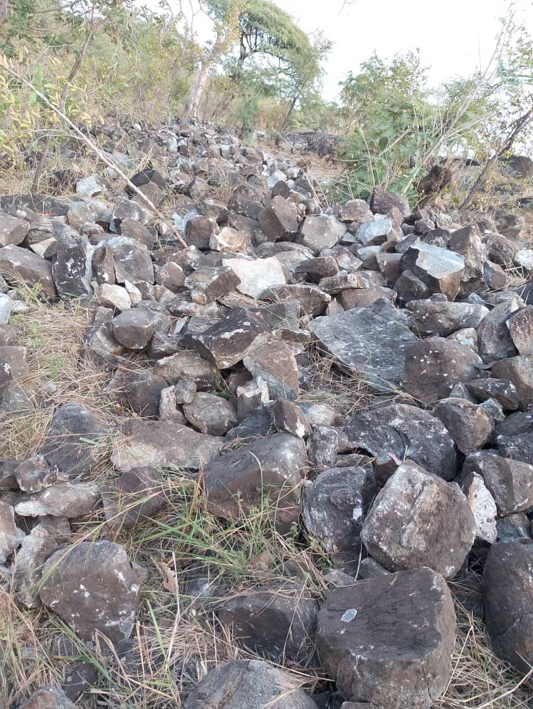 DREAM BIG MINISTRY LIBRARY